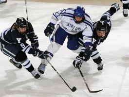 米莱体育官方下载