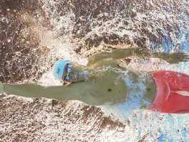 悟空体育app登录入口