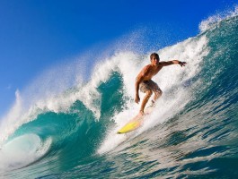 365官方网站入口